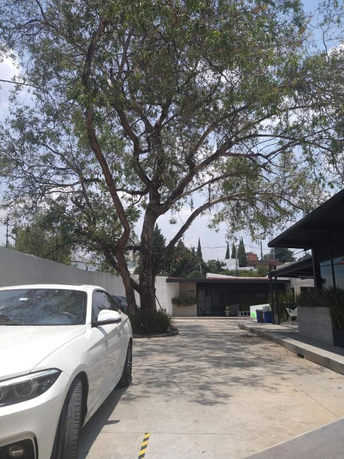Casa Bonsai Bed & Breakfast Meksika Dış mekan fotoğraf